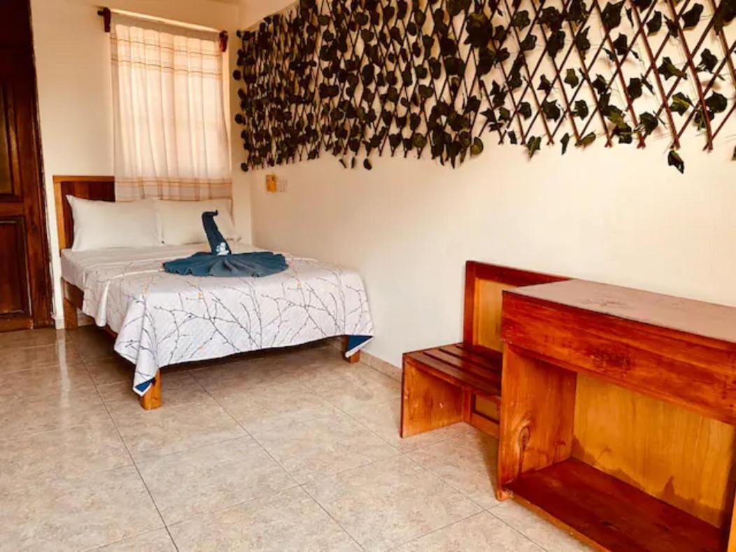 Ximajo Nieto Otel Puerto Escondido  Dış mekan fotoğraf